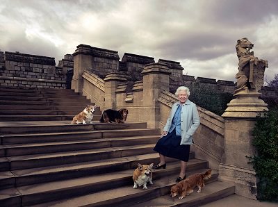 Tutti i cani della regina